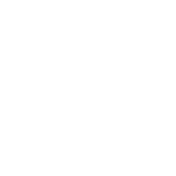Saudi Electronic University